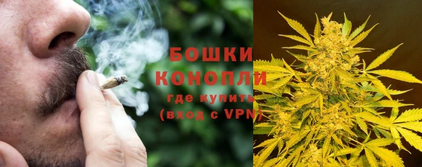 дурь Ладушкин