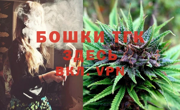 мяу мяу мука Лабытнанги