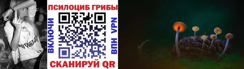 Галлюциногенные грибы прущие грибы  Купить  Ершов 