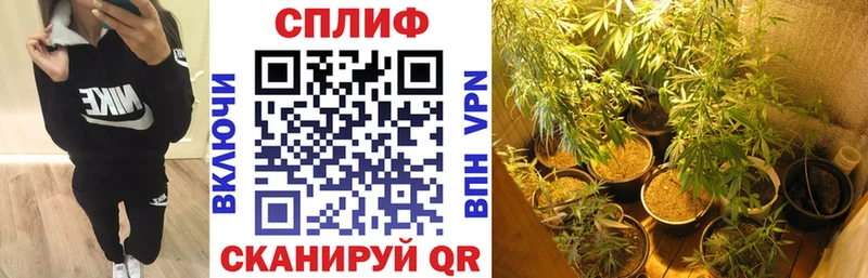 Бошки Шишки Bruce Banner  Купить где  Ершов 
